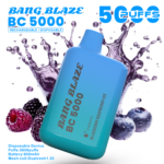 Bang Bc5000 Rechargeable Disposable Vape - Blueberry Raspberry Ice