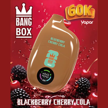 Bang Box 60000 Rechargeable Disposable Vape - Retail Packaging (2)