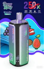 Bang King 250K Rechargeable Disposable Vape - Product View