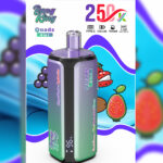 Bang King 250K Rechargeable Disposable Vape - View 3
