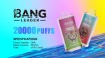 Bang Leader 20000 Rechargeable Disposable Vape - View 3