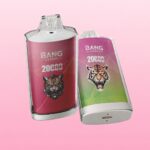 Bang Leader 20000 Rechargeable Disposable Vape - View 2