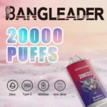Bang Leader 20000 Rechargeable Disposable Vape