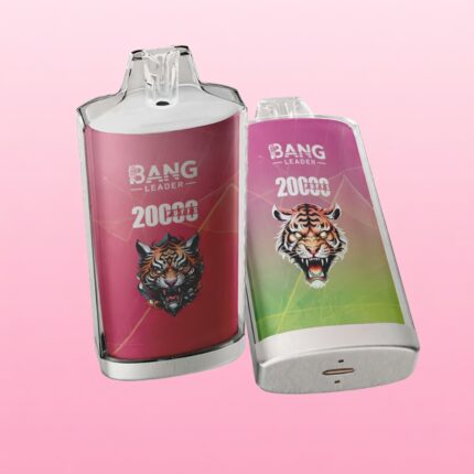 Bang Leader 20000 Rechargeable Disposable Vape - View 2
