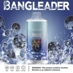 Bang Leader 20000 Rechargeable Disposable Vape - Blueberry Ice