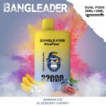 Bang Leader 32000 Rechargeable Disposable Vape - Promotional Visual (5)