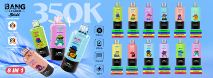 Bang Leader 350K Rechargeable Disposable Vape - Product View
