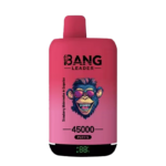 Bang Leader 45K Rechargeable Disposable Vape - Product View