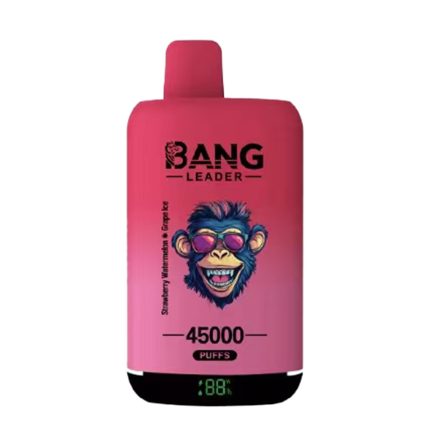 Bang Leader 45K Rechargeable Disposable Vape - Product View