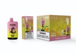 Bang Leader 45K Rechargeable Disposable Vape - Product View (2)