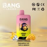 Bang Leader 45K Rechargeable Disposable Vape - Product View (4)