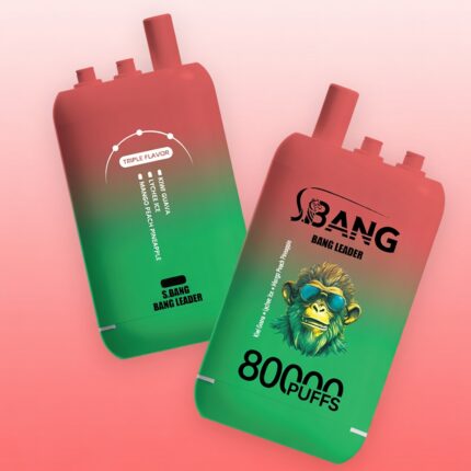 Bang Leader 80K Rechargeable Disposable Vape - Product View (2)