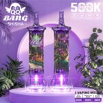 Bang QQ Shisha 500K Shisha Hookah Rechargeable Disposable Vape - Grape Mint