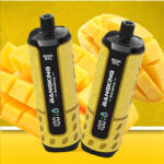 Bang Shisha 60K Shisha Hookah Rechargeable Disposable Vape - Cool Mango