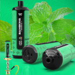 Bang Shisha 60K Shisha Hookah Rechargeable Disposable Vape - Cool Mint