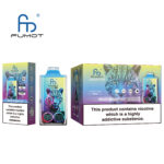 Fumot Leopard 40K Rechargeable Disposable Vape - Black Dragon Ice