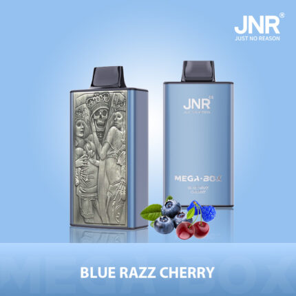 JNR Mega Box 25000 25K Puffs Rechargeable Disposable Vape - Retail Packaging