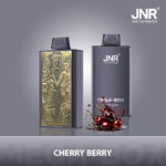 JNR Mega Box 25000 25K Puffs Rechargeable Disposable Vape - Retail Packaging (4)