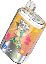 UWIN RandM Crystal Twins 40K Dual Flavor Rechargeable Disposable Vape - View 3