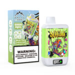 VHILL TWINS 60K Dual Flavor Rechargeable Disposable Vape - Blue Razz Lemonade & Lemon Lime