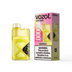 Vozol Neon 60K Disposable Vape - Martinho