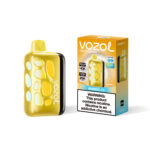 Vozol Rave 40000 Rechargeable Disposable Vape - Mango Ice