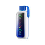 Vozol Star 20000 Rechargeable Disposable Vape - Blueberry Storm