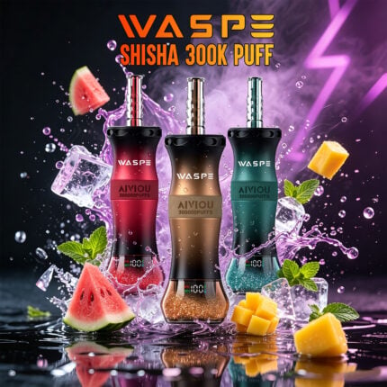 WASPE Shisha Hookah 300K LED Display Shisha Vape - Product View